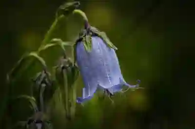 “만세력 무료 사이트 이용안내: 어떤 곳이 있을까?”