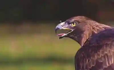 메리츠화재 실손보험 청구 방법과 필요한 서류는 무엇인가?