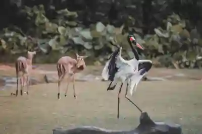 알바 퇴직금 기준과 조건 미제공 시 대처 방법 알아보자