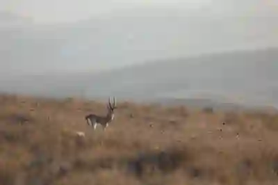 유튜브 시크릿모드 설정 및 해제 방법: 간단하게 알아보기!