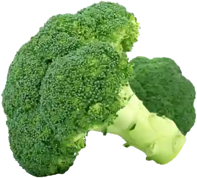 현대카드 놀 카드 혜택, 놓치면 손해! 자세히 알아보세요