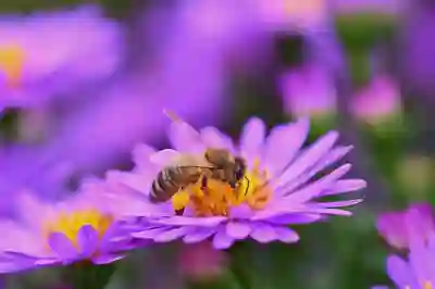 K친환경선박액티브의 투자 매력과 분배금 분석 살펴보기