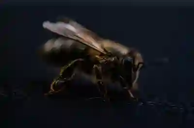 똥꼬털 제모의 필요성과 효과적인 방법 4가지 알아보자