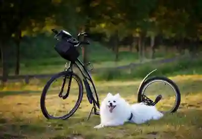 부동산 등기부등본 무료 열람 꿀팁 알아보자