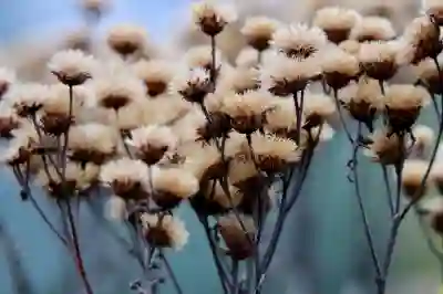 산재보험료 할인과 예방요율제 이해하기 위한 4가지 포인트