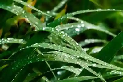 알바 수습기간 퇴사 시 급여와 주휴수당 알아보자