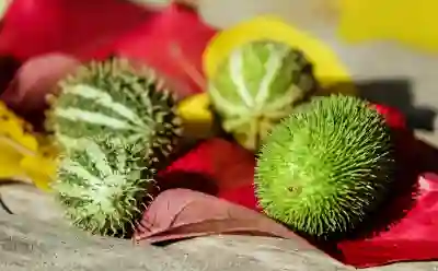 음주운전 신고 포상금 신청하는 방법 알아보자