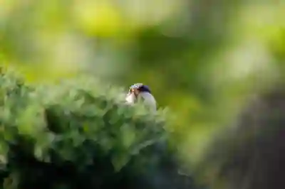 회계사와 세무사의 차이를 알아보자