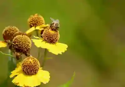 교정직 특채 조건과 과목을 알아보자