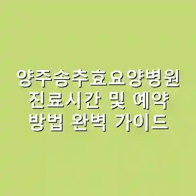 양주송추효요양병원 진료시간 및 예약 방법 완벽 가이드